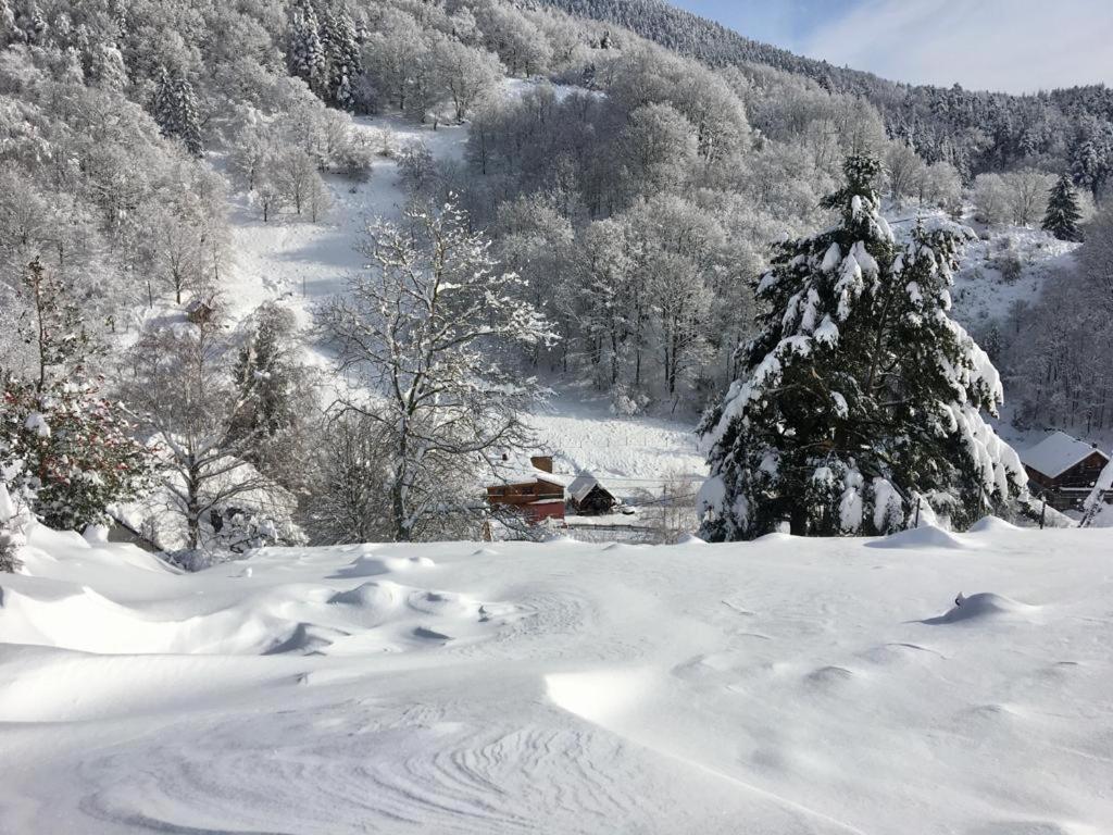 Gite De La Grande Verrerie 6 Personnes Ribeauville 外观 照片